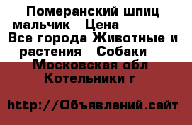 Померанский шпиц мальчик › Цена ­ 30 000 - Все города Животные и растения » Собаки   . Московская обл.,Котельники г.